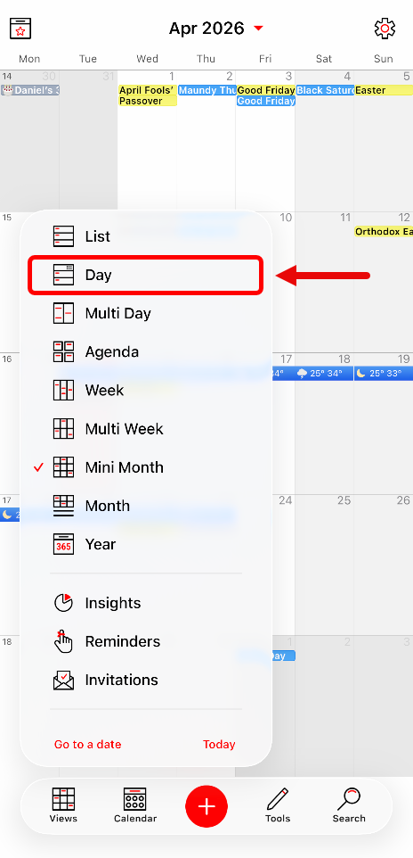 WeekCal_DayView2.PNG