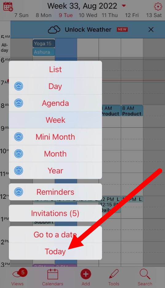 A screenshot of the Views pop-up menu with an arrow pointing to the Today button